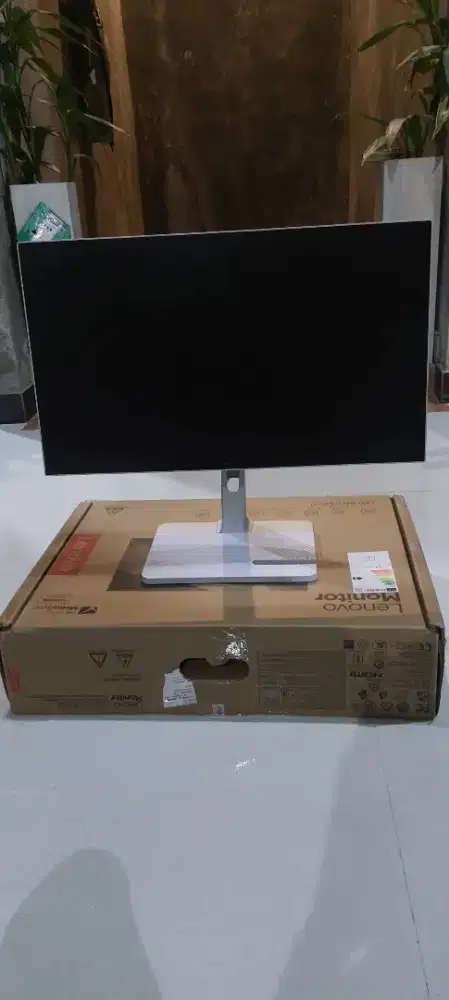 MONITOR LENOVO L24M- 4A