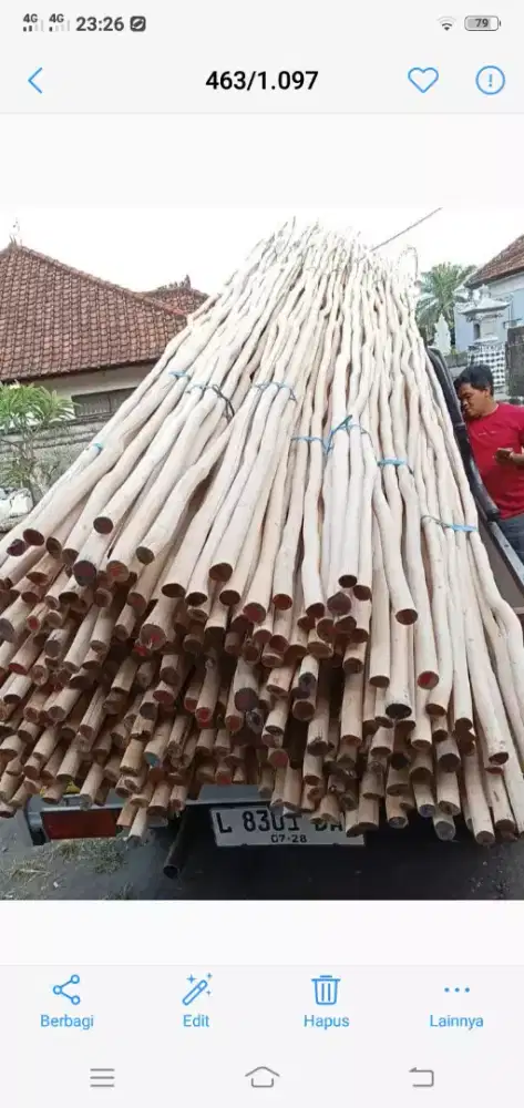 Dolken kupas,full ampelas halus