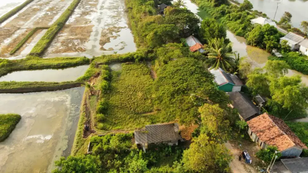 Tanah SHM Luas 8.227 m2 Zona Industri Sukajaya Pontang Cocok Pabrik
