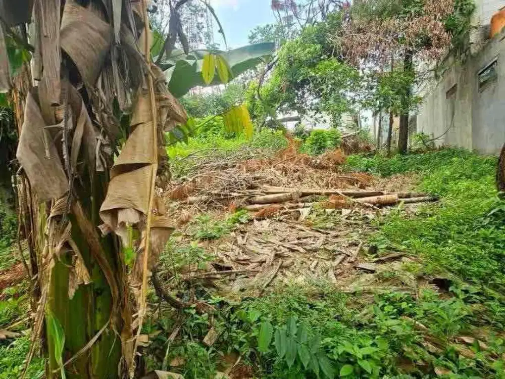 Tanah luas di Pamulang — peluang emas untuk investasi masa depan!