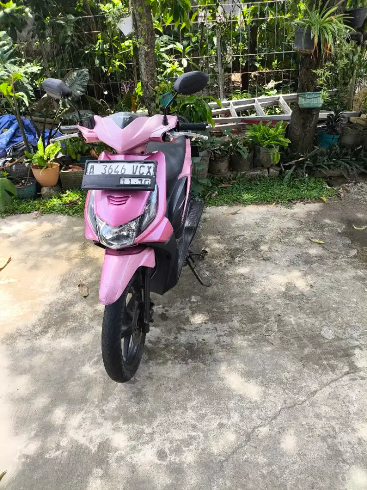 Beat 2010 pajak idup