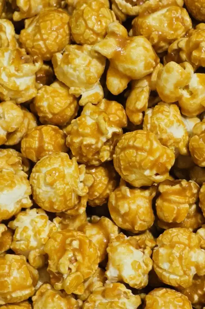 Kesempatan Bisnis Cemilan - Cari Mitra Penjualan Seluruh Indonesia