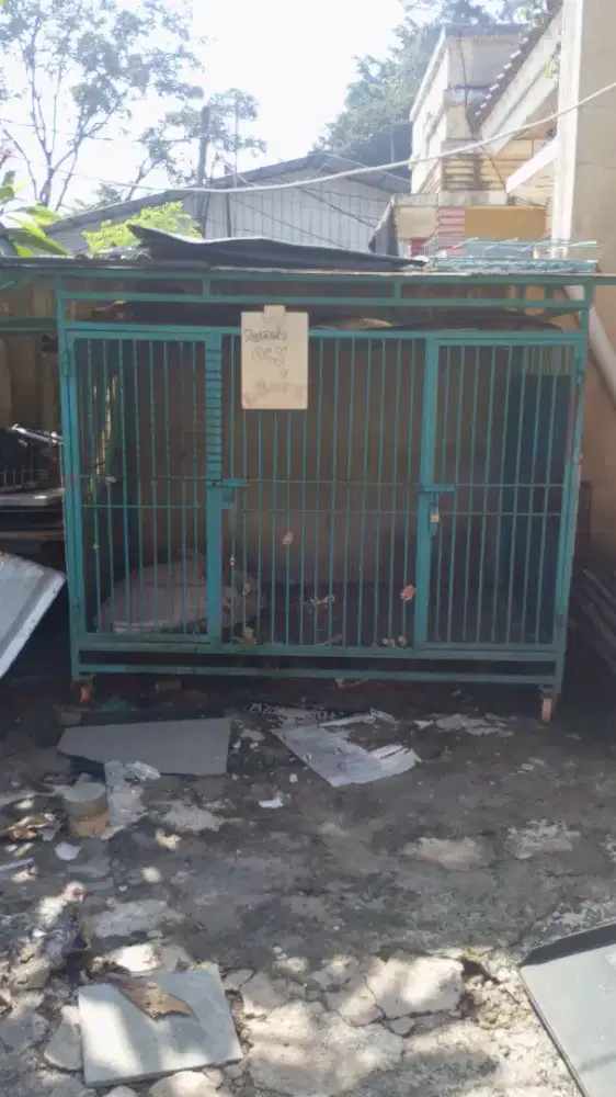 Bekas kandang hewan pitbul