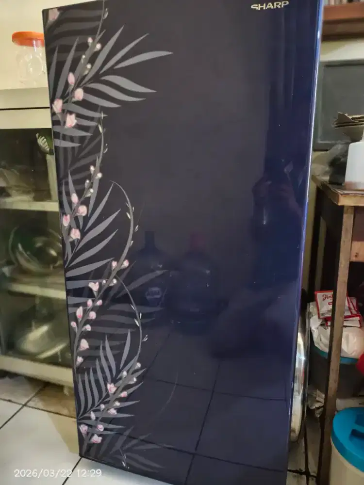 Kulkas Sharp 1 pintu