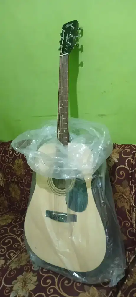 Jual gitar cord original