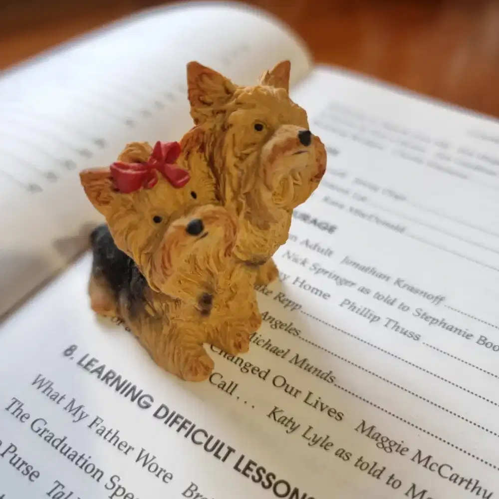 Pajangan anjing yorkshire terrier