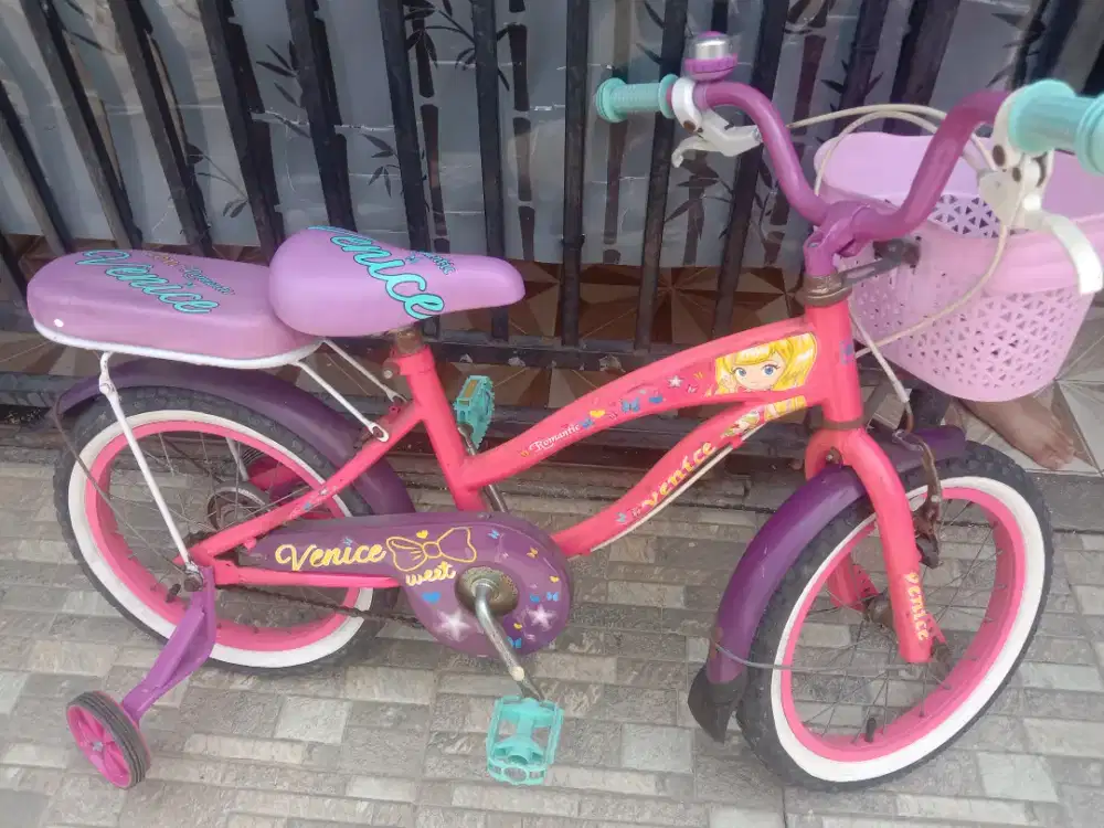 Sepeda Anak Cewek