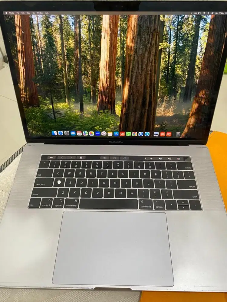 MacBook Pro Retina ( 15 inch 2019 )