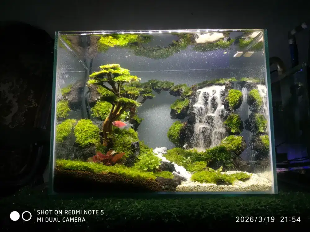 Aquarium air terjun pasir simple