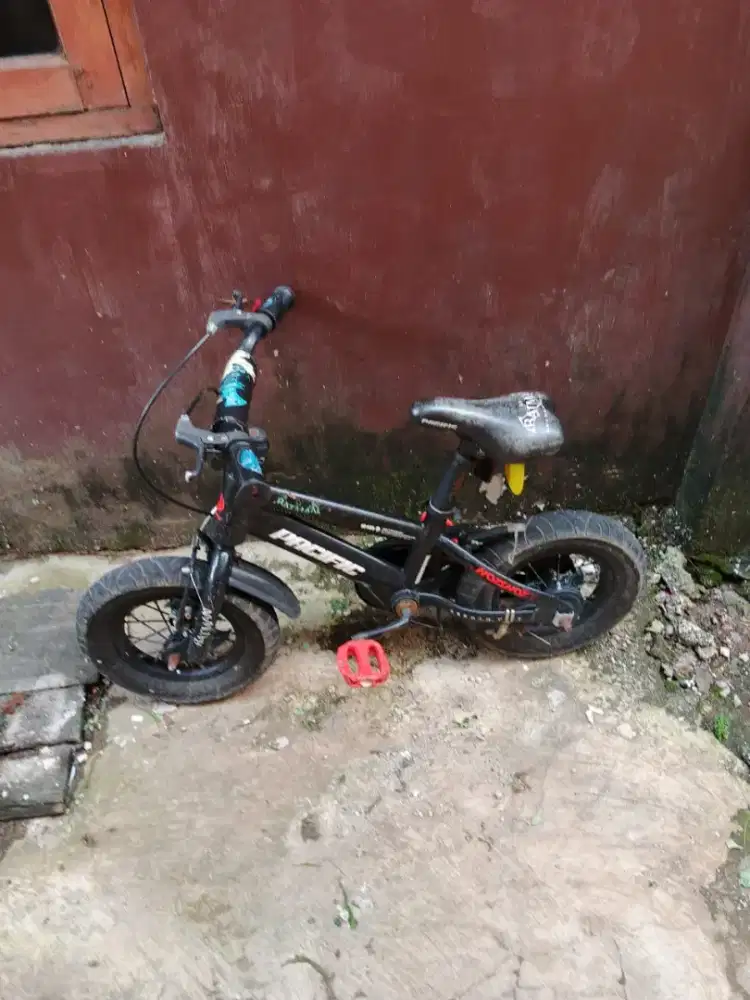Sepeda Pasific anak