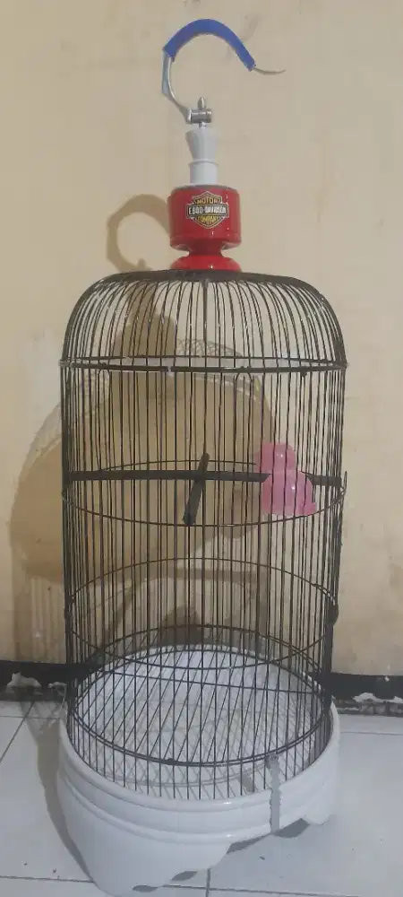 Sangkar lovebird kondisi mulus seperti baru ruji tebal + plafon