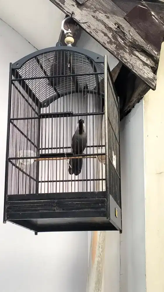 Poksay Hongkong gacor