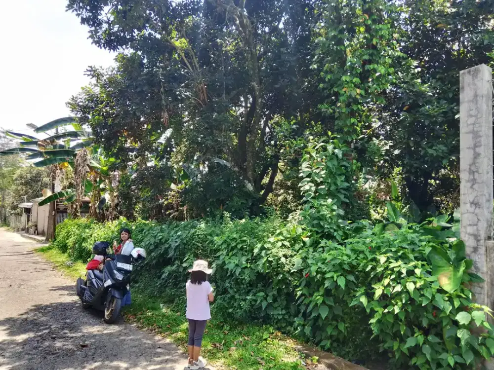 Dijual Tanah 300 Meter2 Kapling Walpres Ciapus Bogor