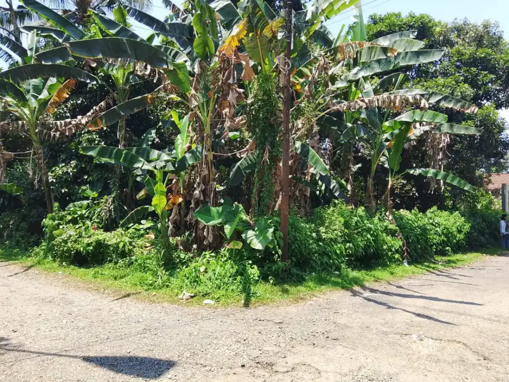 Dijual Tanah 300 Meter2 Kapling Walpres Ciapus Bogor