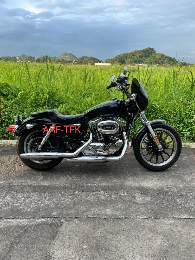 2009 Harley Sportster 1200 Low Club Style