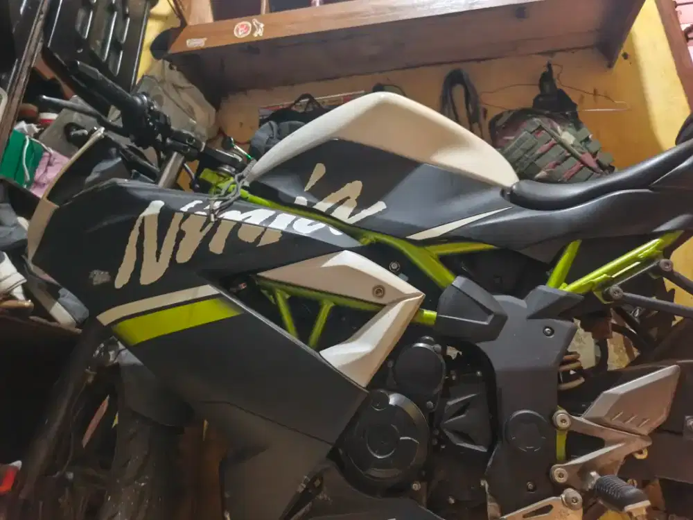 Ninja 250 MONO 2019 NOMINUS