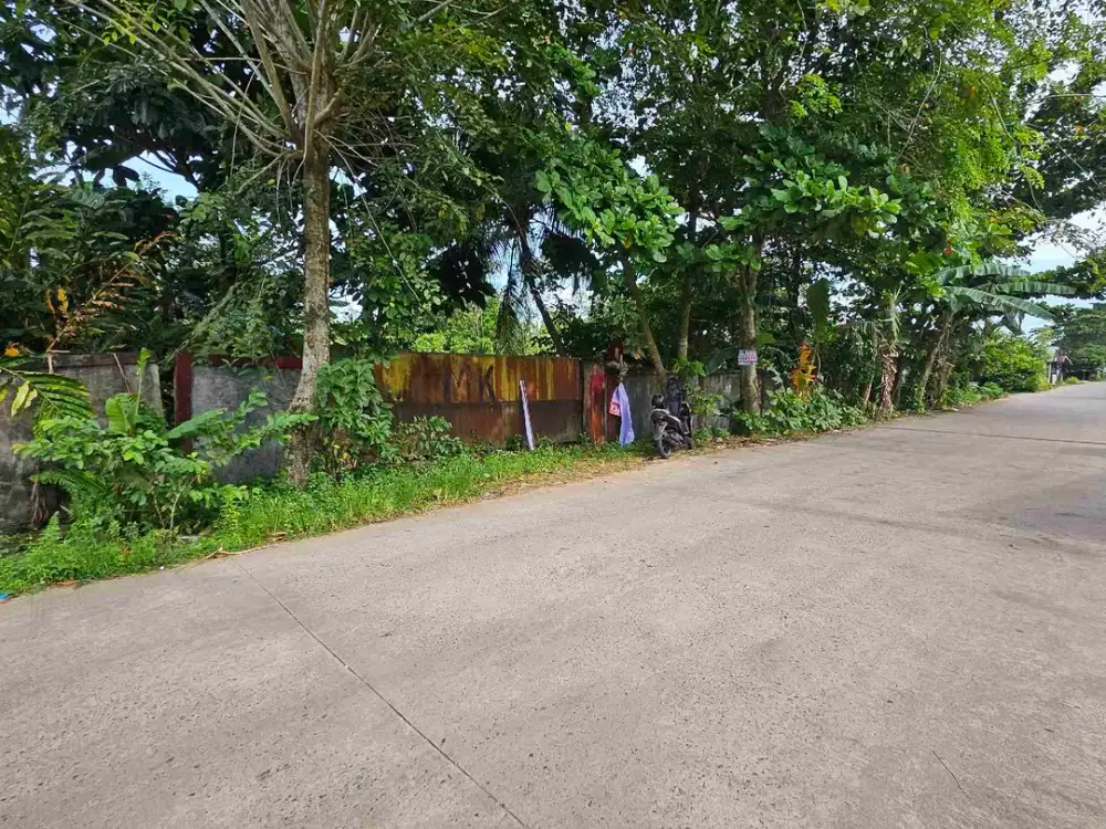 Tanah tepi jalan kebangkitan nasional