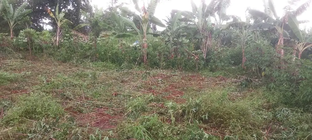 DIJUAL TANAH STRATEGIS DEKAT STADION PAKANSARI – SHM