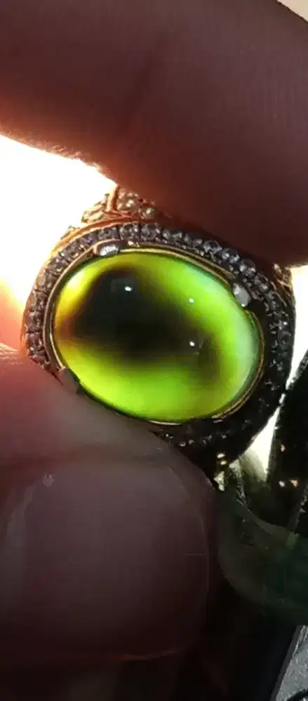 Bacan Coklat HQ Mardani