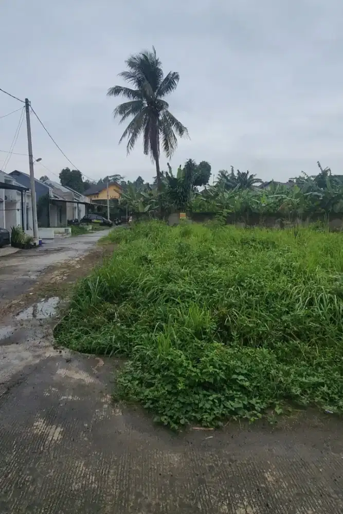 JUAL CEPAT TANAH KAVLING