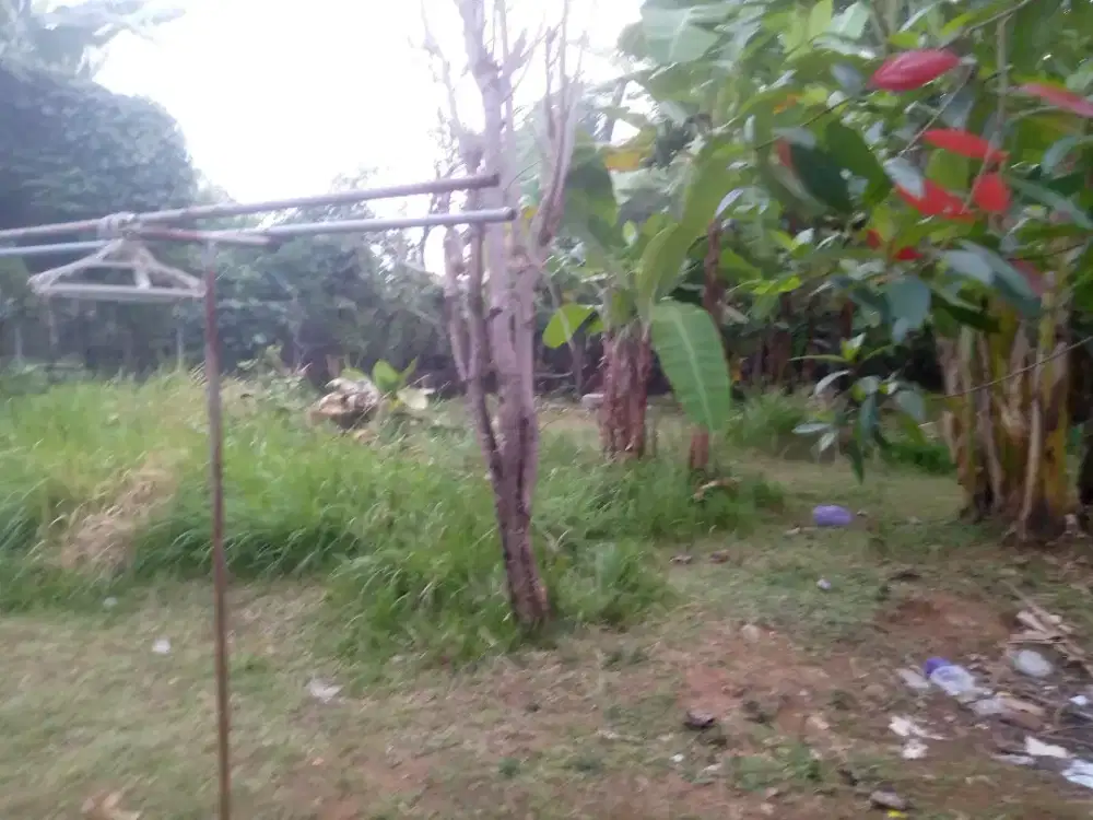 Dijual cepatt dan murah, tanah milik pribadi