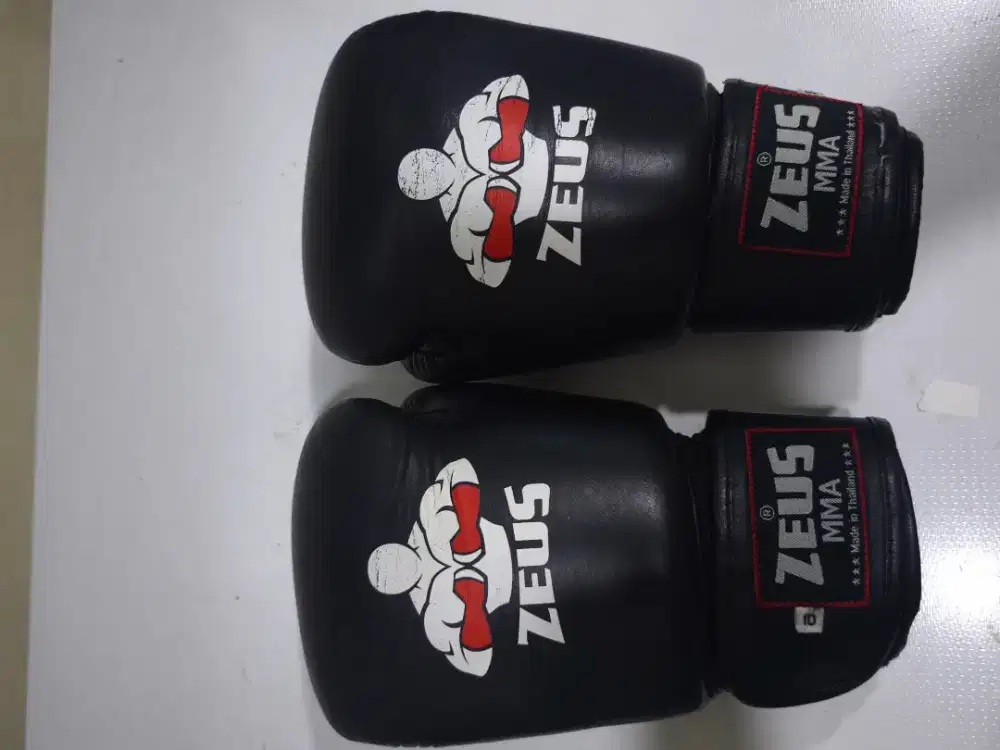 Boxing gloves Zeus size 10(8oz)