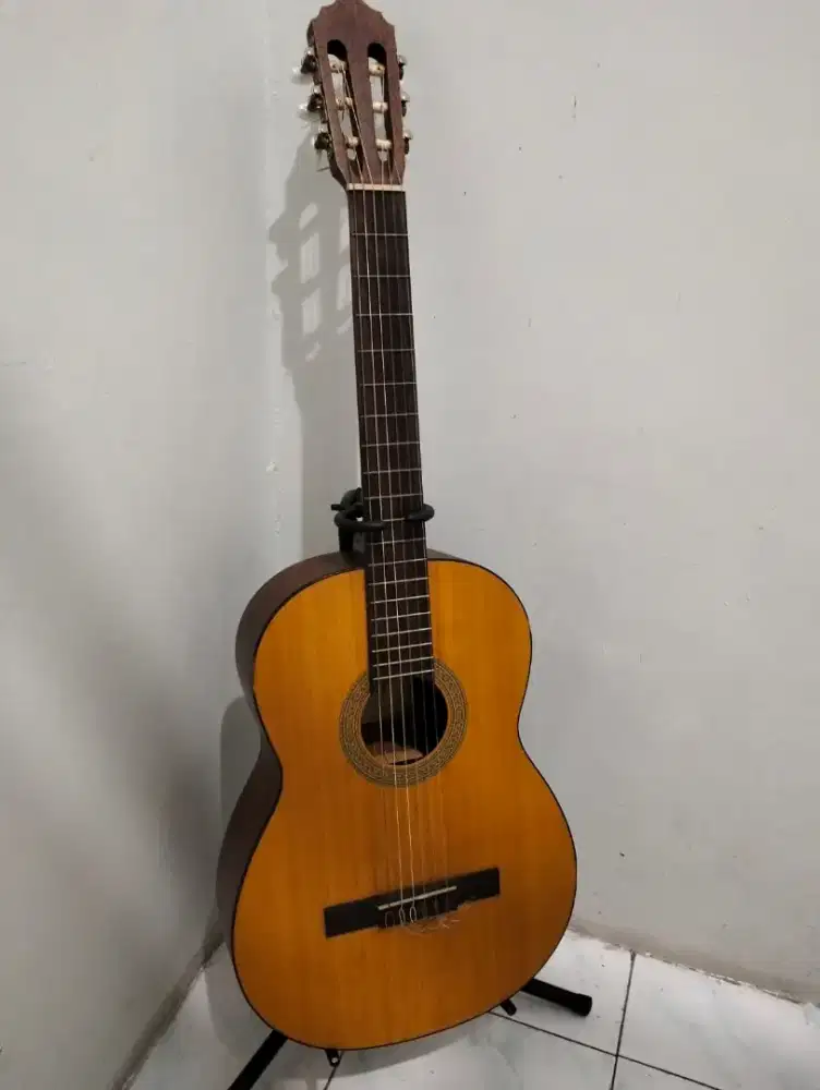 Gitar cort ac 10