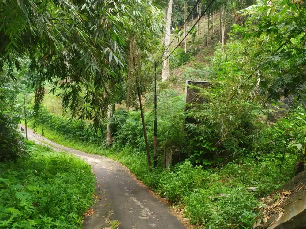 Tanah murah di PPR ITB Dago bandung