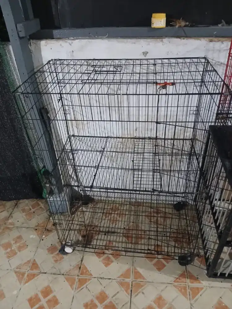 Kandang kucing/ anjing