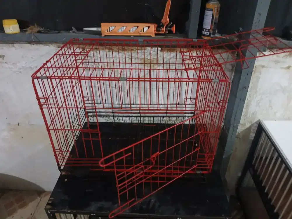 Kandang kucing/ajing