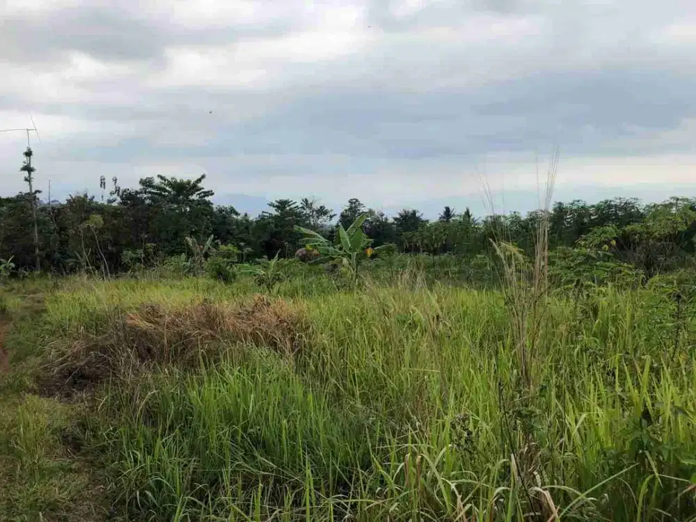 Di Jual Cepat Tanah Dekat Obyek Wisata Pantai Pelabuhan Ratu