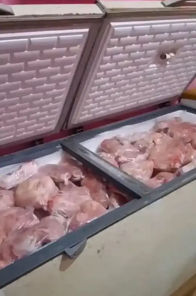 Raw food Daging kelinci giling