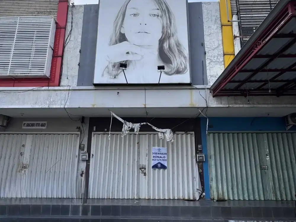 Ruko City 9 Driyorejo dekat Citraland New South West Driyorejo