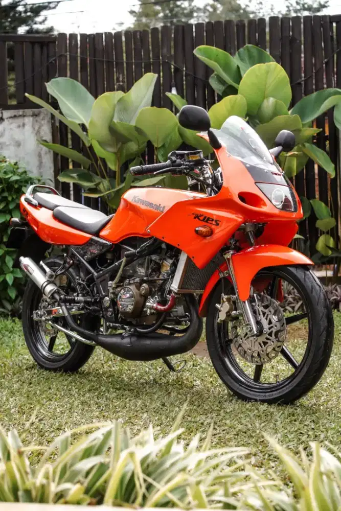 Ninja krr 2010  pemakain pribadi