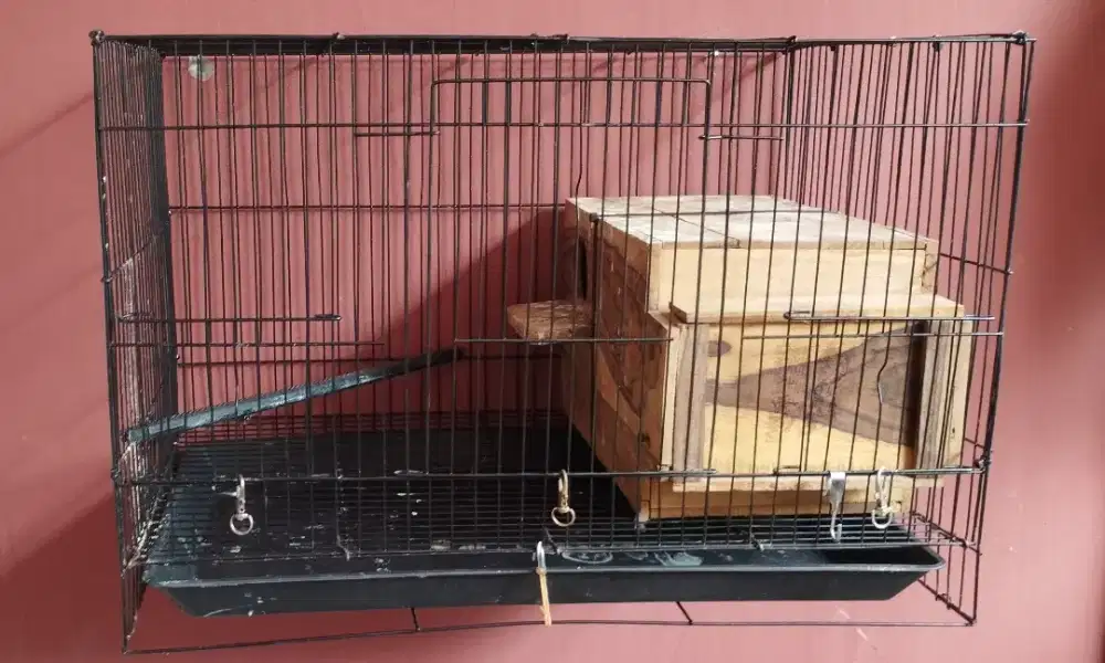 Kandang besi ternak lovebird