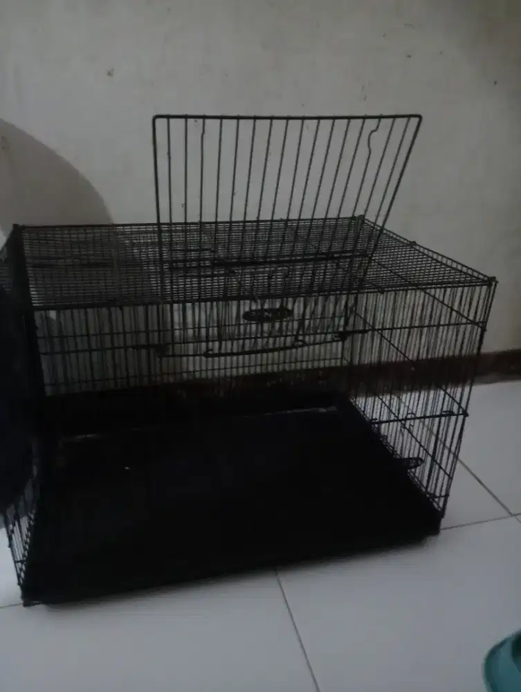 Kandang dan petcargo jumbo