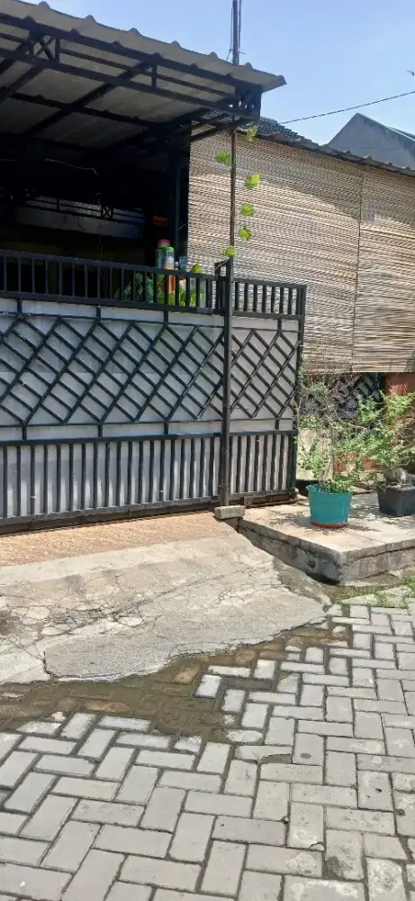 Disewakan 1unit rumah pertahun#willmar#SMI