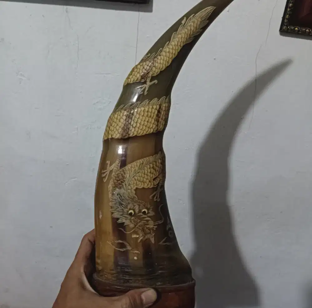 Pajangan tanduk kebo bule