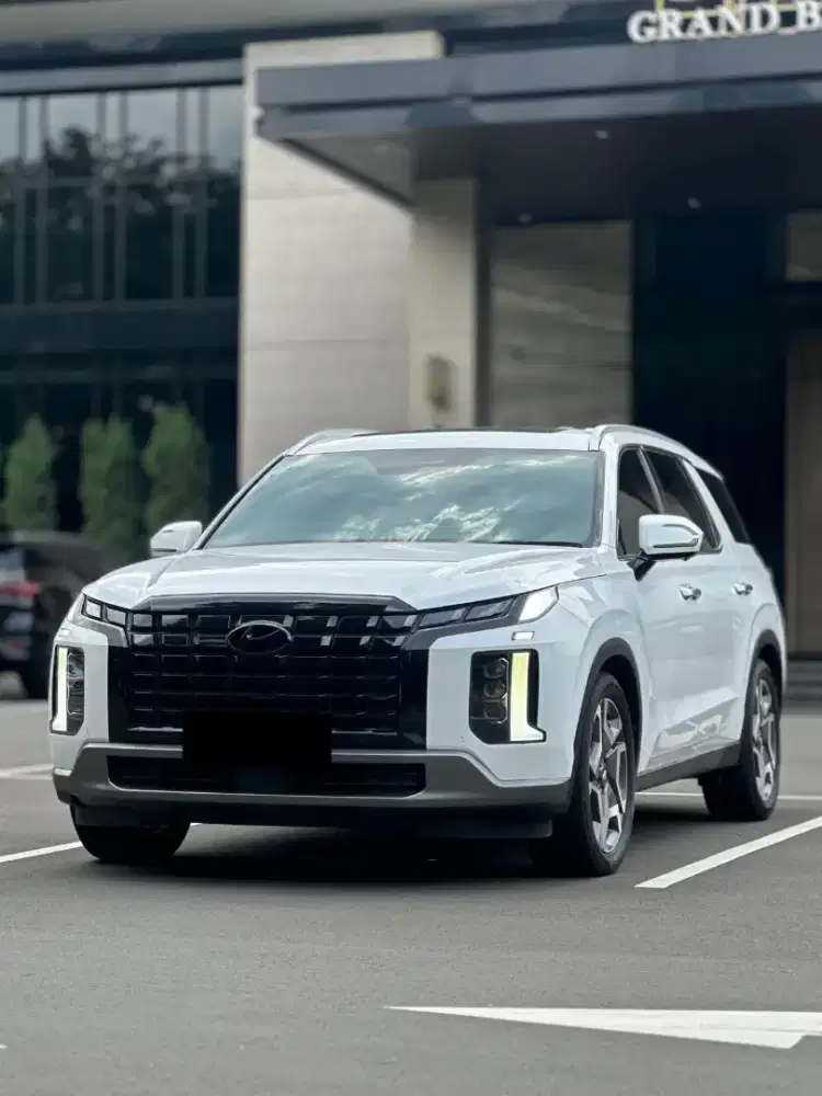 Palisade Signature 2.2D