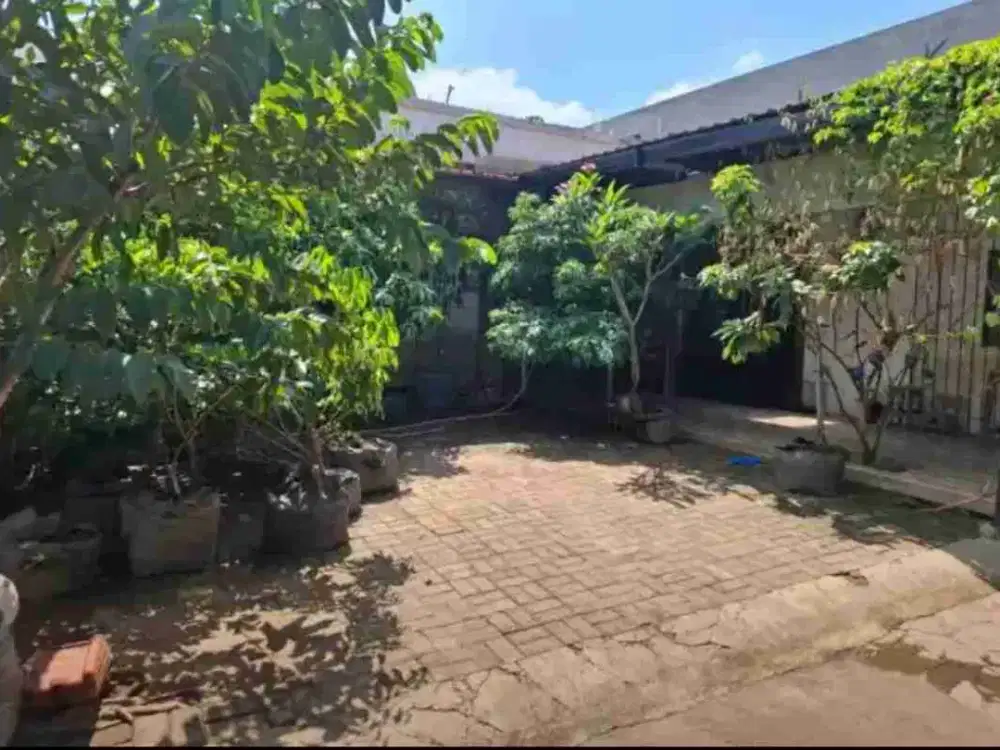 ( SEMARANG BARAT ) RUMAH PINGGIR JALAN PUSPONJOLO SELATAN BOJONGSALAMAN