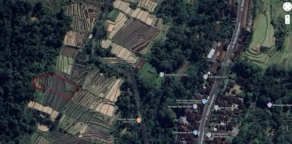 TANAH SHM 1500 m2, Desa Utu (Dekat Jatiluwih), Penebel, Tabanan, Bali