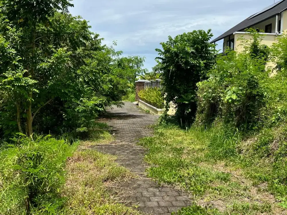 Tanah Dekat Pantai Nyanyi