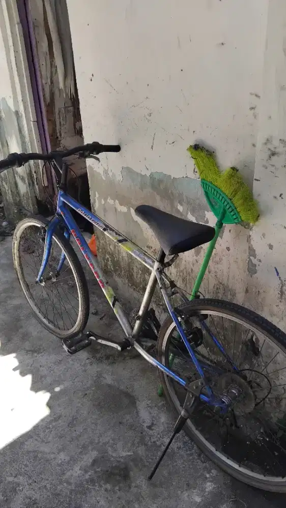 Sepeda polygon ukuran dewasa