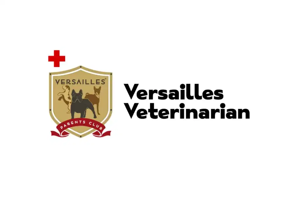 Keeper anjing kucing