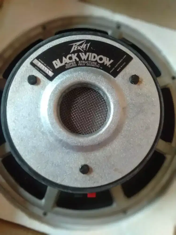 Speaker Peavey black widow ori