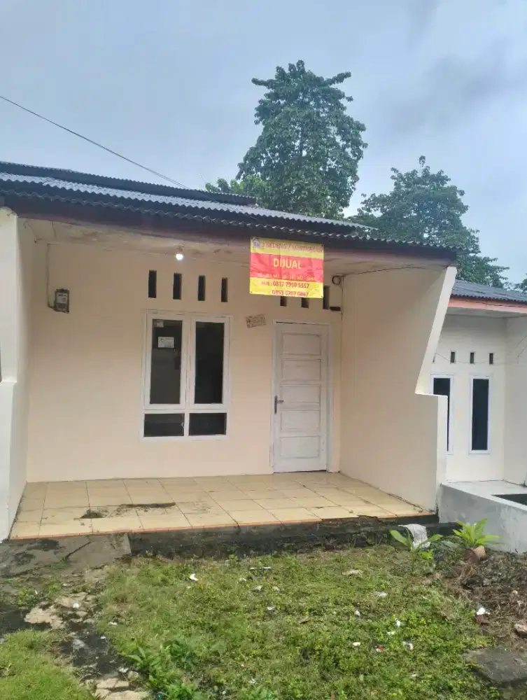Rumah bedeng dikontrakkan di jalan pramuka gg. Maherat bandar lampung