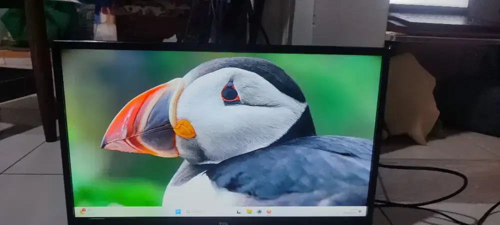 Monitor / TV LED TCL 24B3 - 24 Inch (Second)