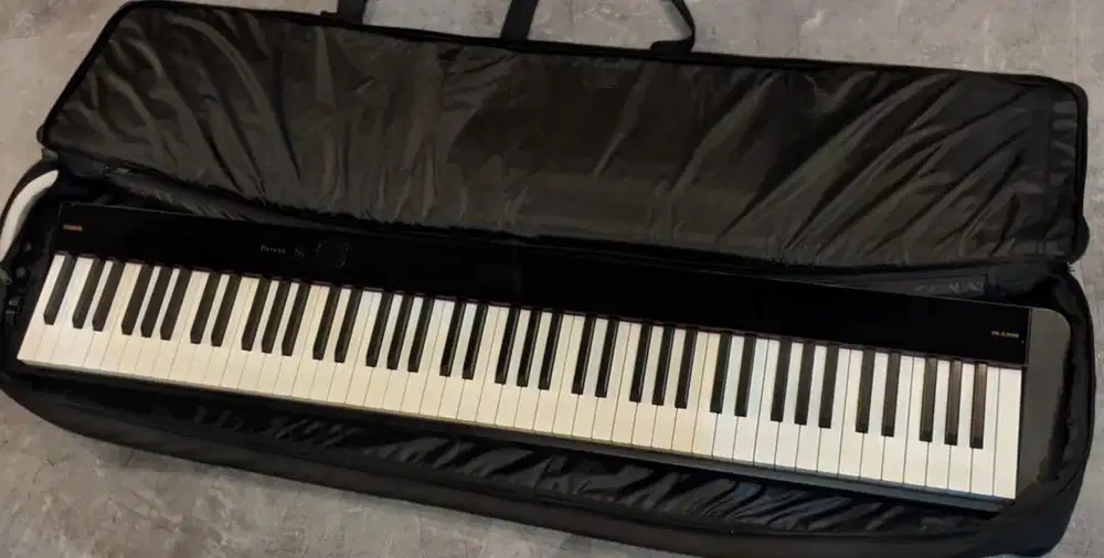 CASIO PX-S3100 / PXS3100. (Not yamaha, korg, roland)