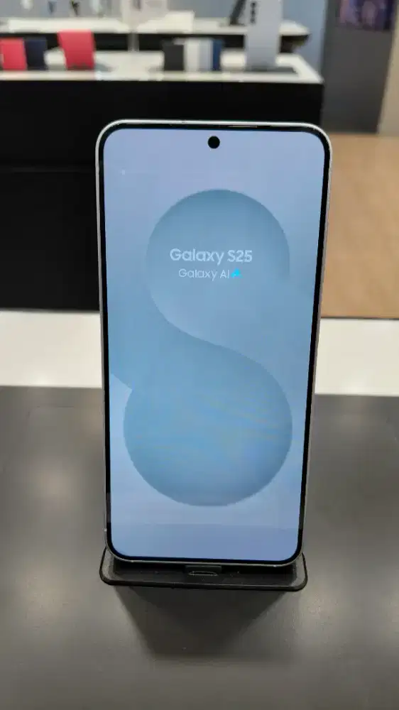 Samsung Galaxy S25 12/256GB