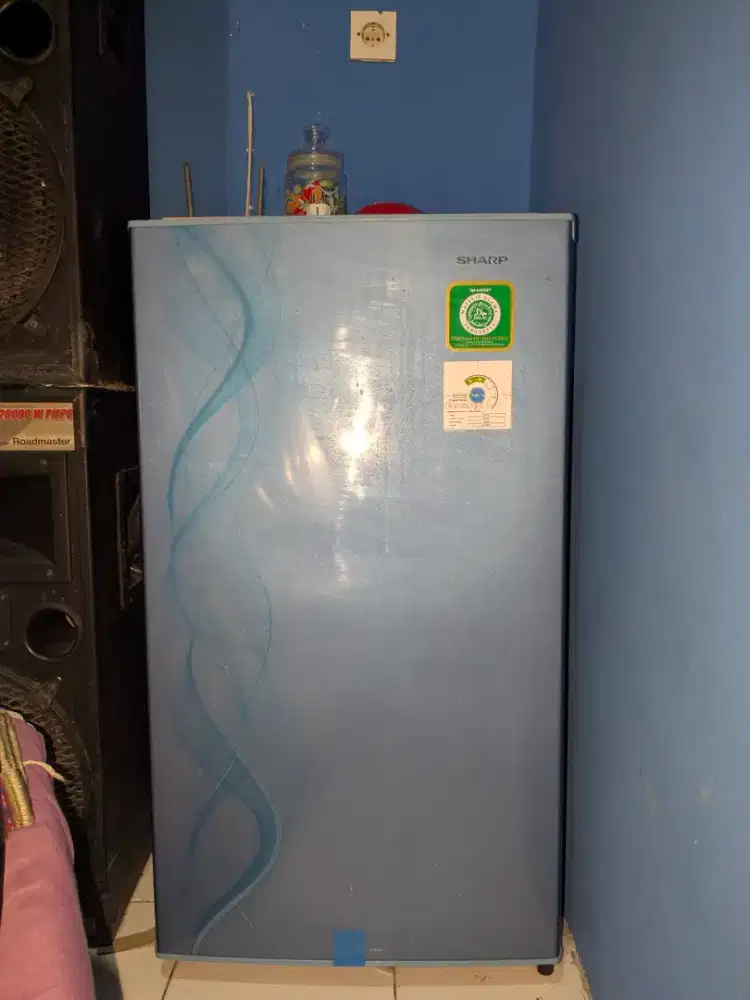 Kulkas 1 pintu dingin normal